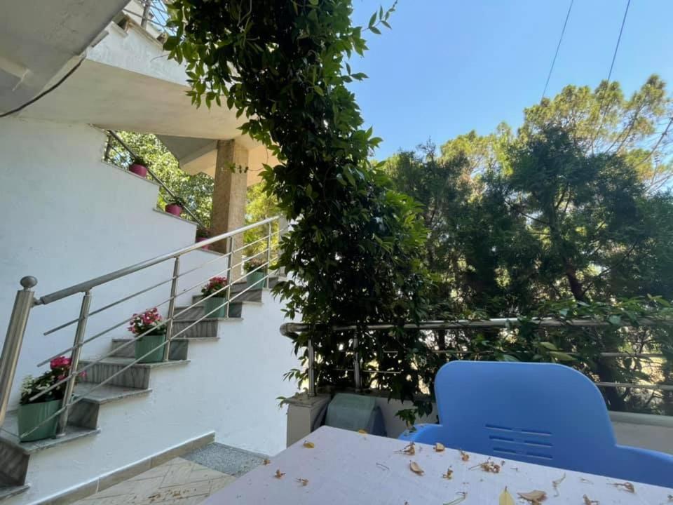 Aparthotel Vila Tufi Velipoje Bagian luar foto