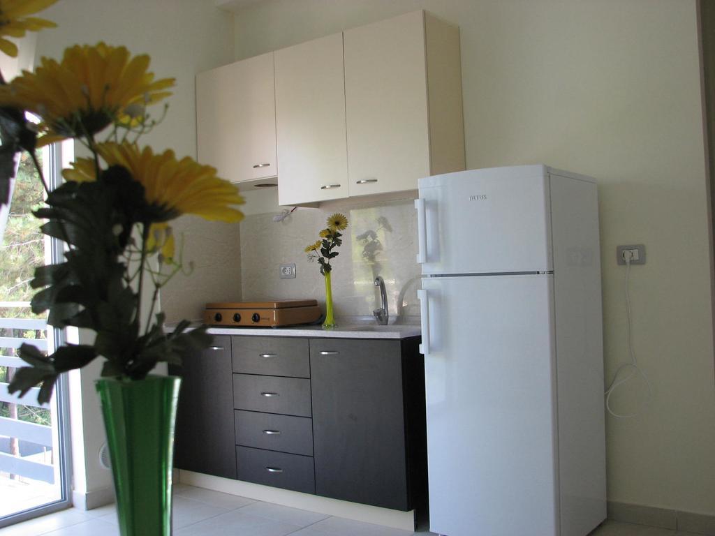 Aparthotel Vila Tufi Velipoje Bagian luar foto